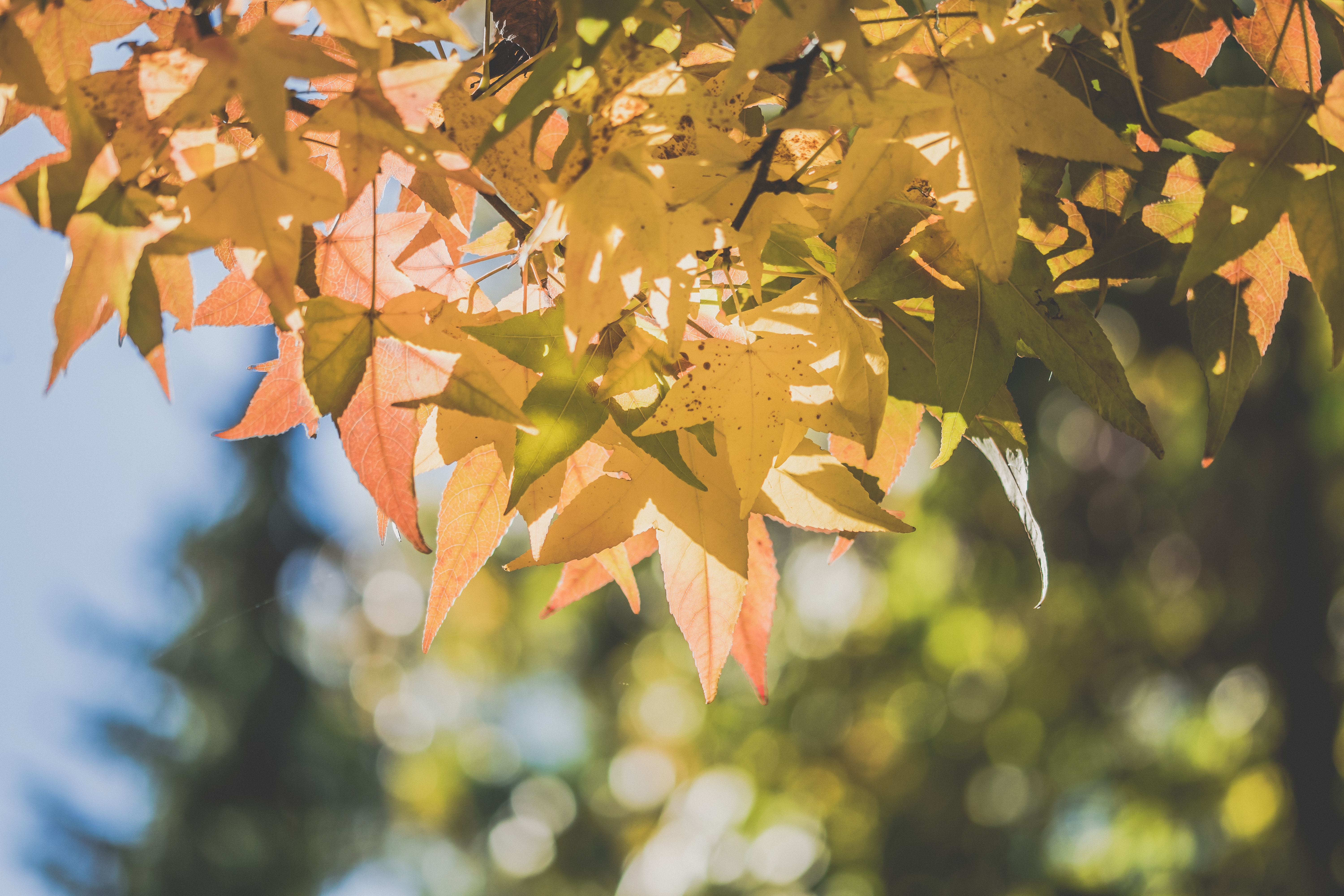 GUÍA DE MODA – OTOÑO 2019